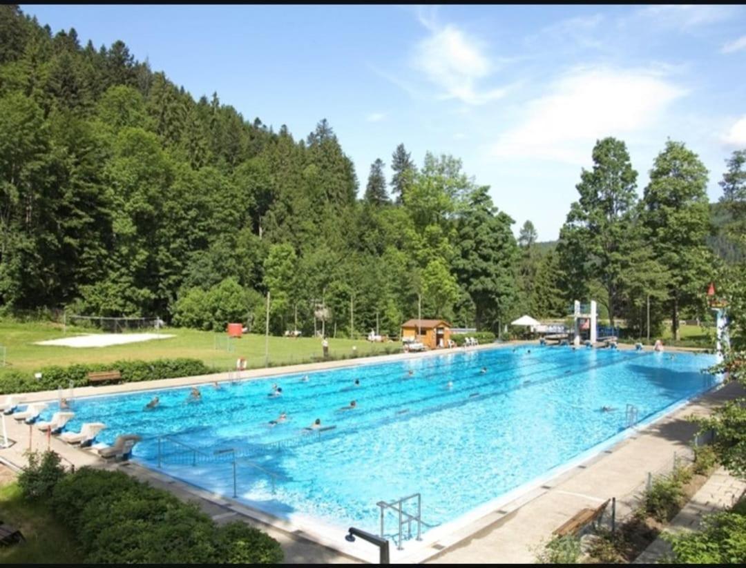 Sumeja Residence Triberg im Schwarzwald Exteriér fotografie